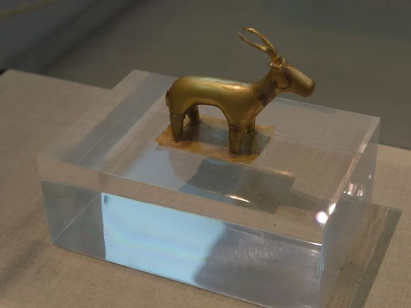 Golden Ibex