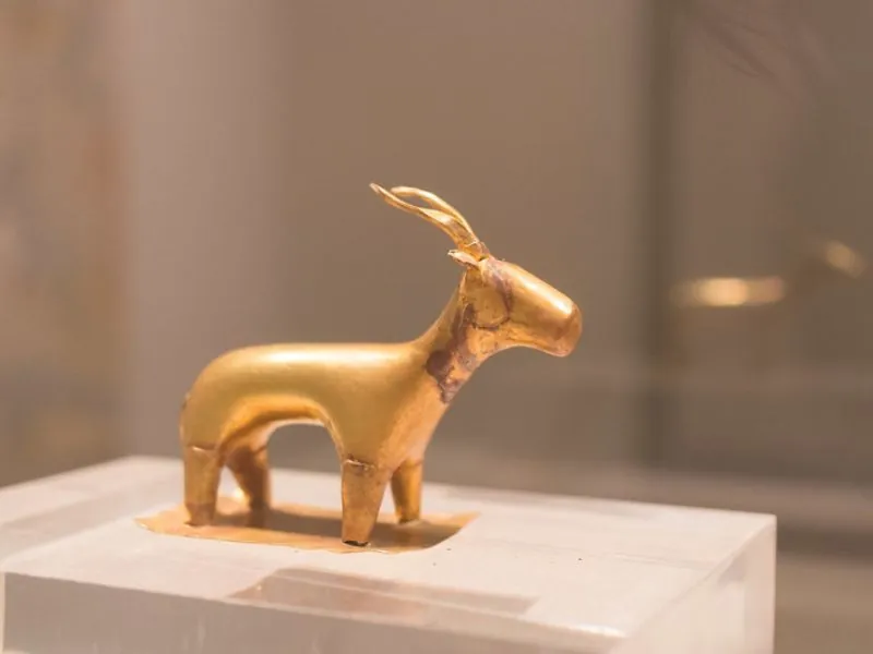 Golden Ibex
